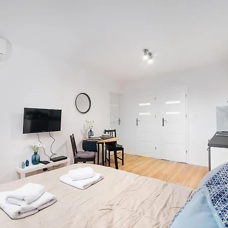 Grzybowska Apartment